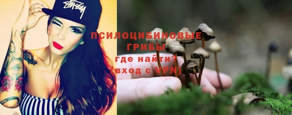 винт Богданович